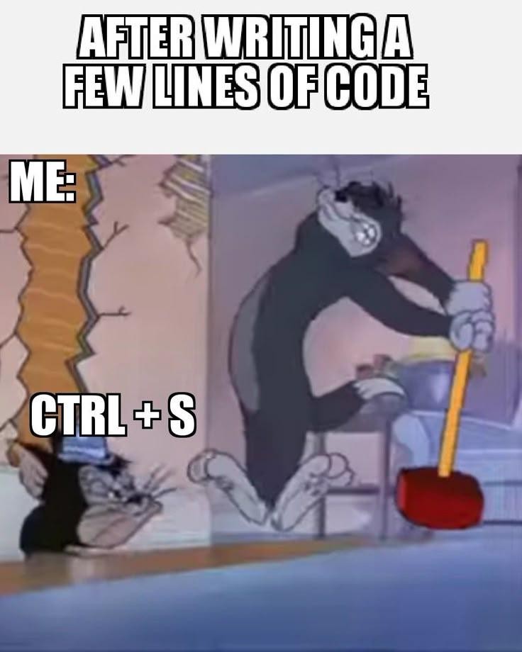 programming meme 6 :