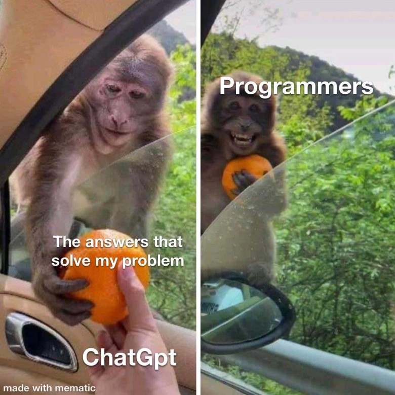 programming meme 10 :