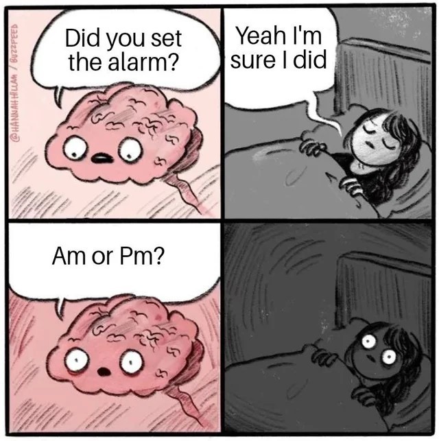 Meme 3: Brain's Late-Night Alarm Question (AM or PM?)