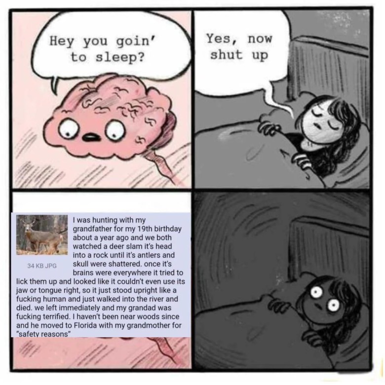 Meme 6: Brain's Late-Night Intrusive Thought (Deer Slam)